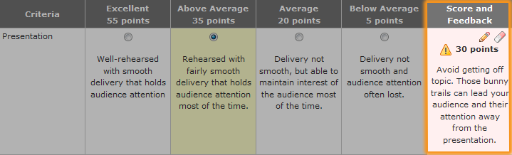 rubric showing criterion feedback